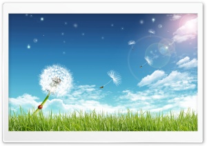 Dreamscape Summer 4 Ultra HD Wallpaper for 4K UHD Widescreen desktop, tablet & smartphone
