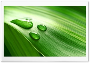 Drop Ultra HD Wallpaper for 4K UHD Widescreen desktop, tablet & smartphone