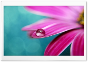 Drop Ultra HD Wallpaper for 4K UHD Widescreen desktop, tablet & smartphone