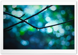 Drop Bokeh Ultra HD Wallpaper for 4K UHD Widescreen desktop, tablet & smartphone
