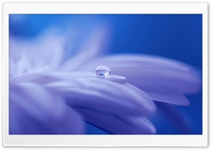 Drop of Water Ultra HD Wallpaper for 4K UHD Widescreen desktop, tablet & smartphone