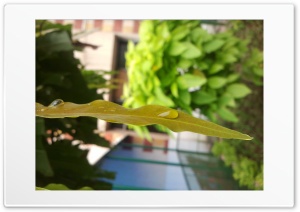 droplet Ultra HD Wallpaper for 4K UHD Widescreen desktop, tablet & smartphone