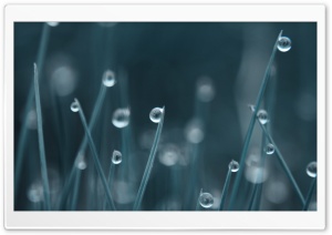 Drops Ultra HD Wallpaper for 4K UHD Widescreen desktop, tablet & smartphone