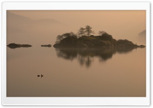 Ducks On Lake Ultra HD Wallpaper for 4K UHD Widescreen desktop, tablet & smartphone
