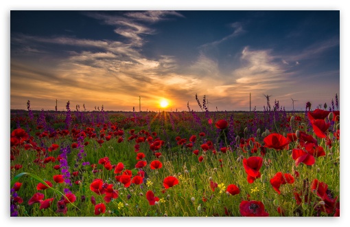 Early morning in Bulgaria Ultra HD Desktop Background Wallpaper for 4K UHD  TV : Tablet : Smartphone