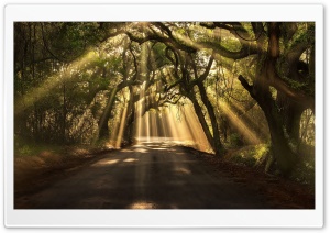 Earth Sunbeams Ultra HD Wallpaper for 4K UHD Widescreen desktop, tablet & smartphone