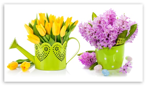 Easter 2022 Spring Colorful Flowers UltraHD Wallpaper for 8K UHD TV 16:9 Ultra High Definition 2160p 1440p 1080p 900p 720p ; UHD 16:9 2160p 1440p 1080p 900p 720p ; Mobile 16:9 - 2160p 1440p 1080p 900p 720p ;