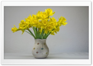Easter Daffodils in a Vase, Spring Ultra HD Wallpaper for 4K UHD Widescreen desktop, tablet & smartphone