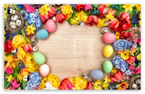 Easter Eggs 2022 Spring Colorful Flowers UltraHD Wallpaper for Wide 16:10 5:3 Widescreen WHXGA WQXGA WUXGA WXGA WGA ; UltraWide 21:9 24:10 ; 8K UHD TV 16:9 Ultra High Definition 2160p 1440p 1080p 900p 720p ; UHD 16:9 2160p 1440p 1080p 900p 720p ; Mobile 5:3 16:9 - WGA 2160p 1440p 1080p 900p 720p ;