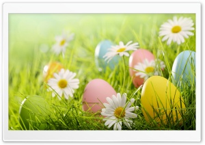 Easter Eggs 2022 Spring Grass Ultra HD Wallpaper for 4K UHD Widescreen desktop, tablet & smartphone