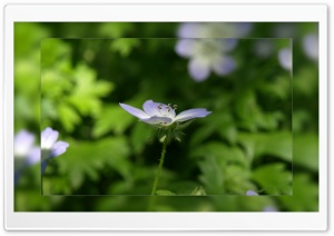 Edge On Ultra HD Wallpaper for 4K UHD Widescreen desktop, tablet & smartphone