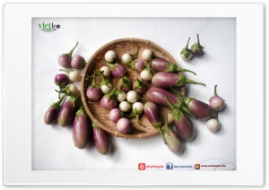 Eggplants Ultra HD Wallpaper for 4K UHD Widescreen desktop, tablet & smartphone