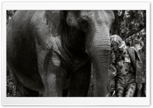 Elephant Friendship Ultra HD Wallpaper for 4K UHD Widescreen desktop, tablet & smartphone