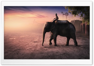 Elephant Man Ultra HD Wallpaper for 4K UHD Widescreen desktop, tablet & smartphone