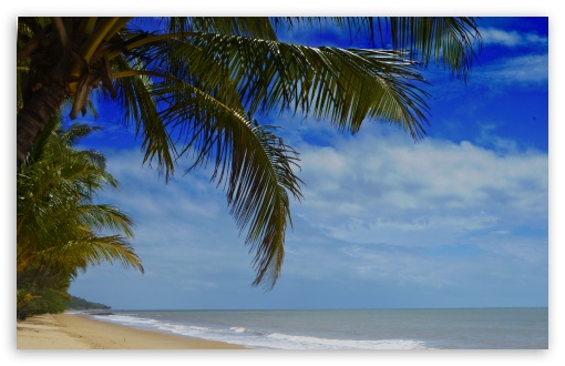 Ellis Beach, Cairns, Australia UltraHD Wallpaper for Wide 16:10 Widescreen WHXGA WQXGA WUXGA WXGA ;