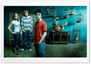 Emma Watson 47 Ultra HD Wallpaper for 4K UHD Widescreen desktop, tablet & smartphone