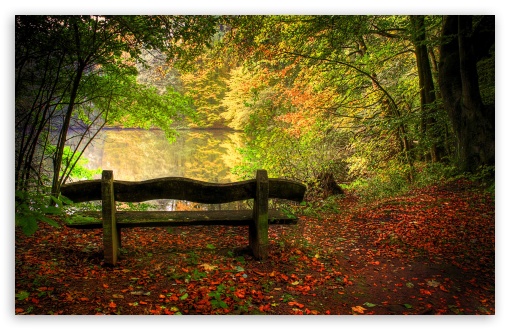      empty_bench_in_fall_