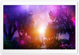 Enchanted forest Ultra HD Wallpaper for 4K UHD Widescreen desktop, tablet & smartphone