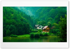 euro forest Ultra HD Wallpaper for 4K UHD Widescreen desktop, tablet & smartphone