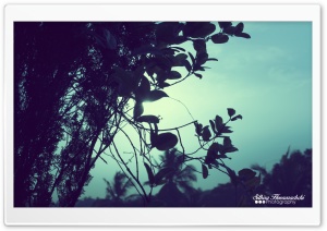 Evening Sky Ultra HD Wallpaper for 4K UHD Widescreen desktop, tablet & smartphone