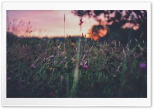 Excellent Sunset Ultra HD Wallpaper for 4K UHD Widescreen desktop, tablet & smartphone