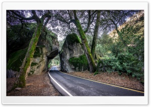 Exploring Yosemite National Park Ultra HD Wallpaper for 4K UHD Widescreen desktop, tablet & smartphone