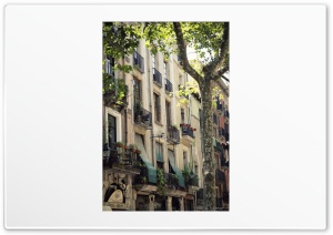 facade - Barcelona Ultra HD Wallpaper for 4K UHD Widescreen desktop, tablet & smartphone