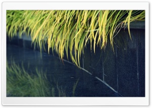 Faded Ultra HD Wallpaper for 4K UHD Widescreen desktop, tablet & smartphone