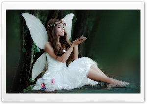 Fairy Butterfly Ultra HD Wallpaper for 4K UHD Widescreen desktop, tablet & smartphone