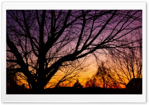 Fall Back Ultra HD Wallpaper for 4K UHD Widescreen desktop, tablet & smartphone