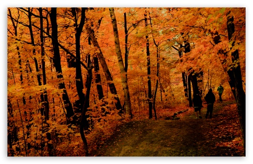 Fall Jogging HD desktop wallpaper 