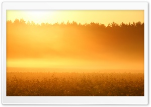 Fall Sunlight Ultra HD Wallpaper for 4K UHD Widescreen desktop, tablet & smartphone