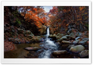 Fall, Waterfall, Trees, Nature Ultra HD Wallpaper for 4K UHD Widescreen desktop, tablet & smartphone