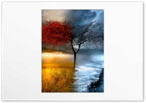 Fall Winter Ultra HD Wallpaper for 4K UHD Widescreen desktop, tablet & smartphone