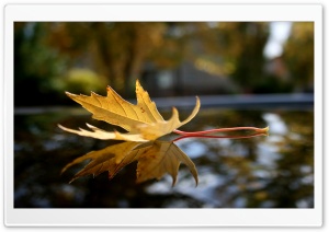 Falling Down Ultra HD Wallpaper for 4K UHD Widescreen desktop, tablet & smartphone