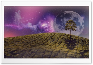 FantasyTree Ultra HD Wallpaper for 4K UHD Widescreen desktop, tablet & smartphone