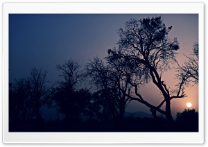 Farsejin Sunrise Ultra HD Wallpaper for 4K UHD Widescreen desktop, tablet & smartphone