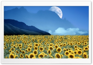 Field Of Illusions Ultra HD Wallpaper for 4K UHD Widescreen desktop, tablet & smartphone
