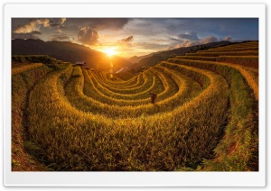 Field, Sunset, Nature Ultra HD Wallpaper for 4K UHD Widescreen desktop, tablet & smartphone