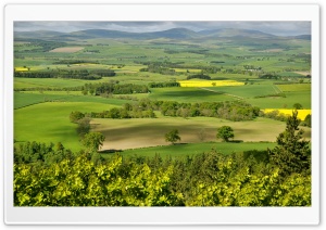 Fields In Summer Ultra HD Wallpaper for 4K UHD Widescreen desktop, tablet & smartphone