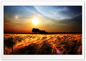 Fields Wheat Photo Manipulation Ultra HD Wallpaper for 4K UHD Widescreen desktop, tablet & smartphone