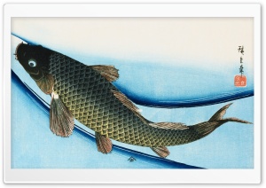 Fish Art Ultra HD Wallpaper for 4K UHD Widescreen desktop, tablet & smartphone