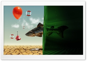 Fish Bait Ultra HD Wallpaper for 4K UHD Widescreen desktop, tablet & smartphone