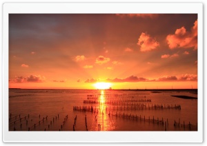 Fishing Nets, Sunset Ultra HD Wallpaper for 4K UHD Widescreen desktop, tablet & smartphone