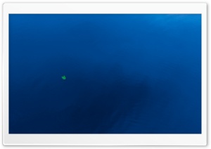 Floating Leaf Ultra HD Wallpaper for 4K UHD Widescreen desktop, tablet & smartphone
