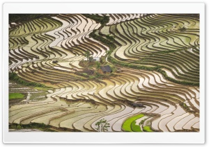 Flooded Rice Terraces in Vietnam Ultra HD Wallpaper for 4K UHD Widescreen desktop, tablet & smartphone