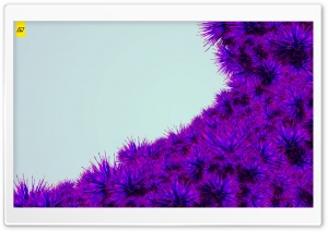 Flora White Ultra HD Wallpaper for 4K UHD Widescreen desktop, tablet & smartphone