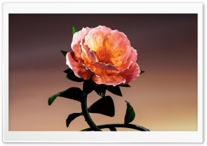 Flower Background Ultra HD Wallpaper for 4K UHD Widescreen desktop, tablet & smartphone
