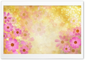 Flowers 29 Ultra HD Wallpaper for 4K UHD Widescreen desktop, tablet & smartphone