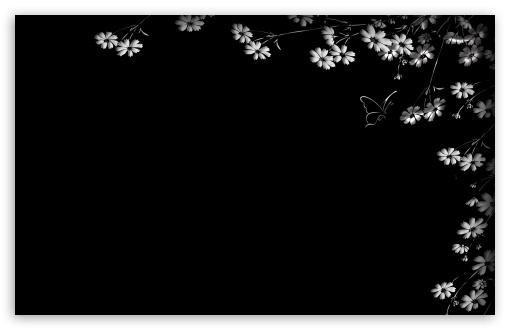 Flowers And Butterflies Ultra Hd Desktop Background Wallpaper For